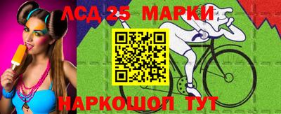 крисы Анапа