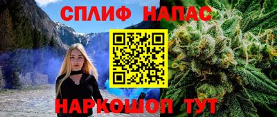 крисы Анапа