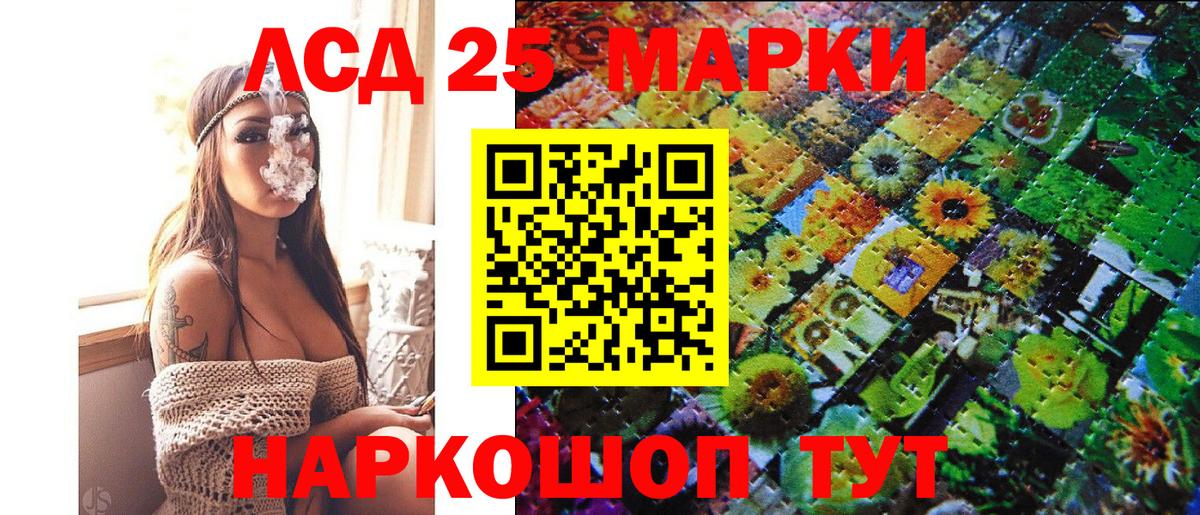 где найти   Марки NBOMe 1,5мг  Камышлов  Вход с VPN  Марки NBOMe 1,5мг 