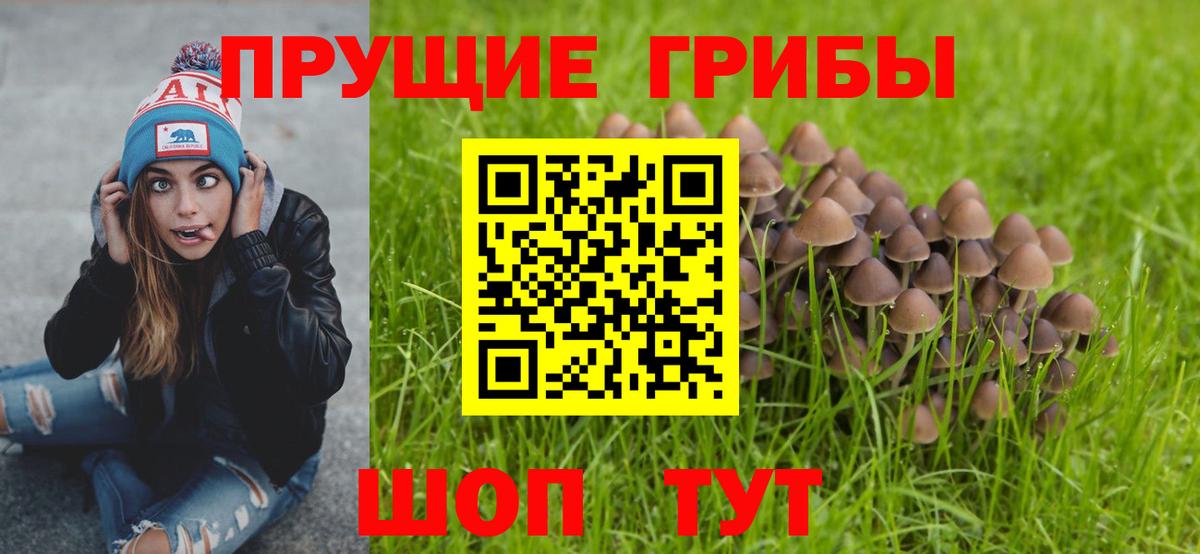 Псилоцибиновые грибы прущие грибы Камышлов
